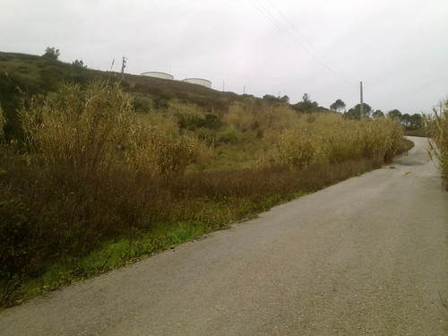 Bela vista