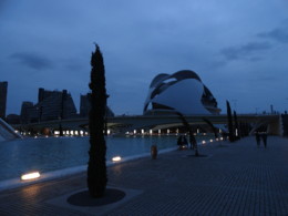 DSC00769.JPG DSC00769.JPG