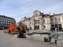DSC09330.JPG