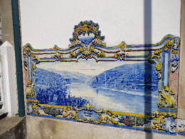 DSC09423.JPG