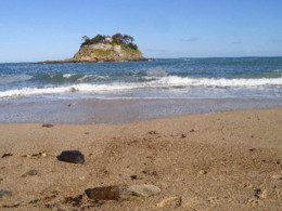 DSC09216.JPG