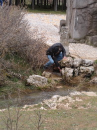 DSC00737.JPG