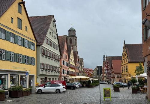 IMG_3641