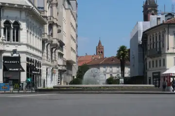 Dente-de-leão, Monza, Itália