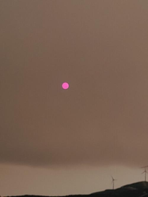 20240918_084648.jpg