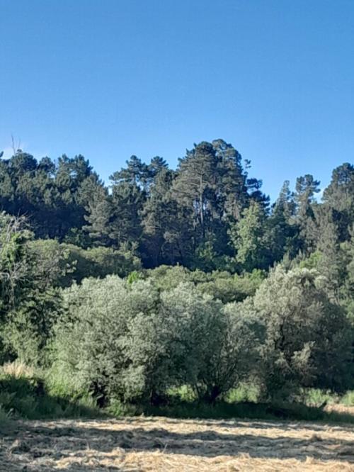 20240525_082418.jpg