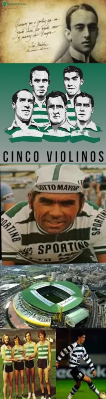 Camarote Leonino