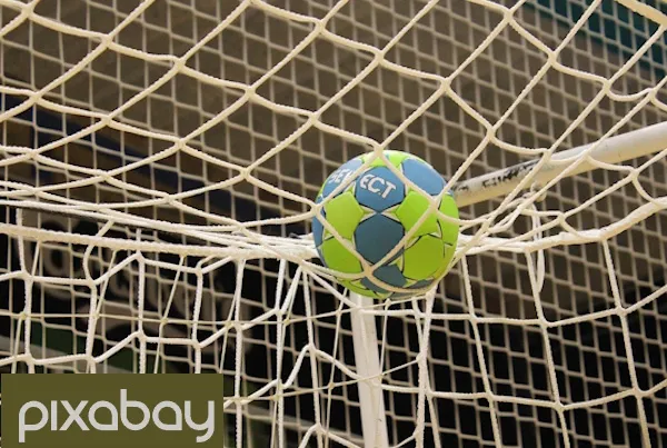 Sporting vence os dinamarqueses do GOG na Champions de andebol