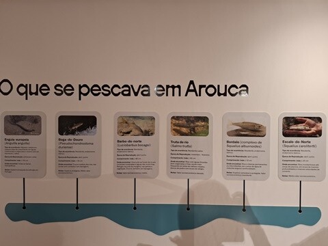 26a_Arouca (83).jpg