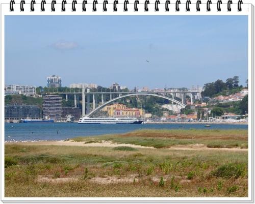 07a_Viagem_aos_Arcos_D3 (106).JPG