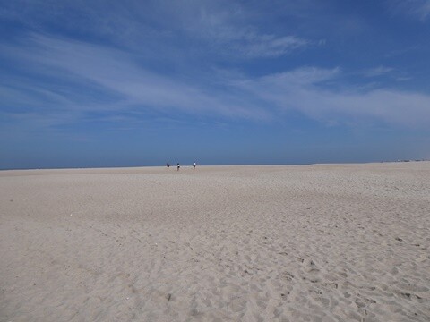 18a_Praia_de_Mira_Manh&atilde; (51).JPG