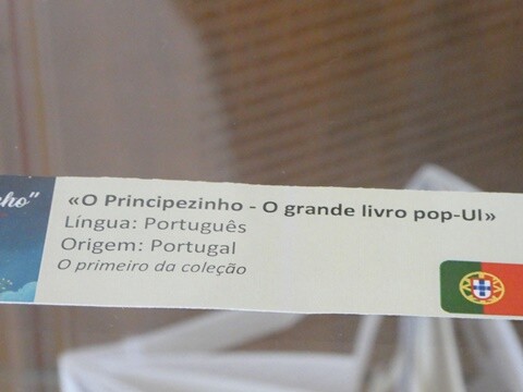 02b_EXposi&ccedil;&atilde;o_O_Principezinho (7).JPG
