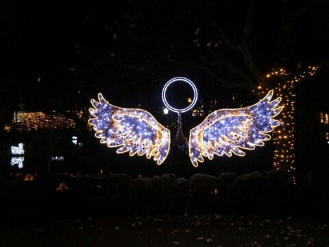 30d_Parque_Natal (22).JPG