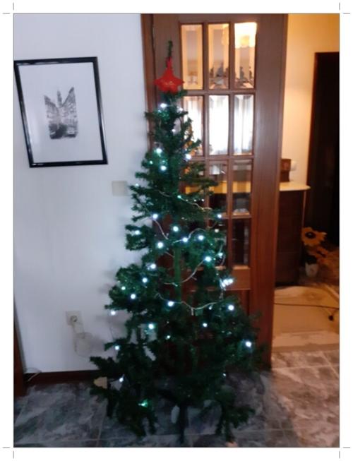 01b_&Aacute;rvore_de_Natal (7).jpg
