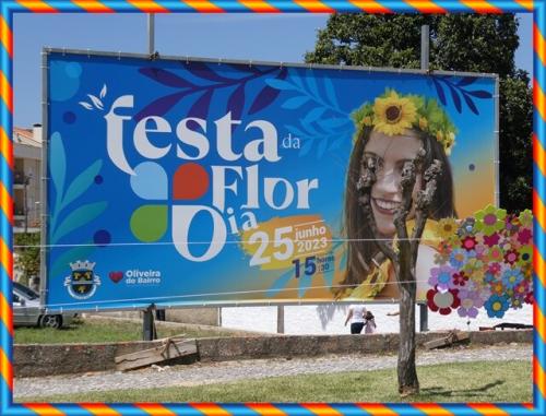 25b_Oiã_FdF (169).JPG