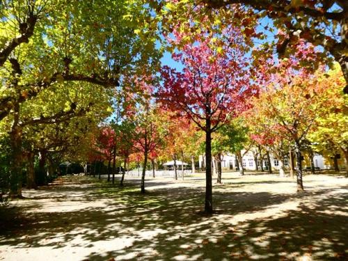 24a_Terras_de_Anadia (103).JPG