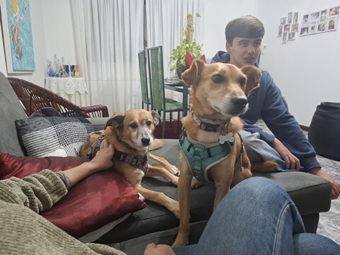 22a_Anivers&aacute;rio_Lila (6).jpg