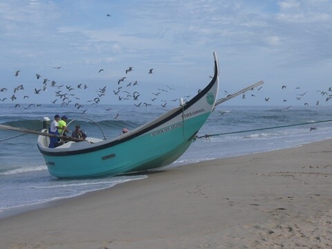 13b_Praia_de_Mira_Manh&atilde; (57).JPG