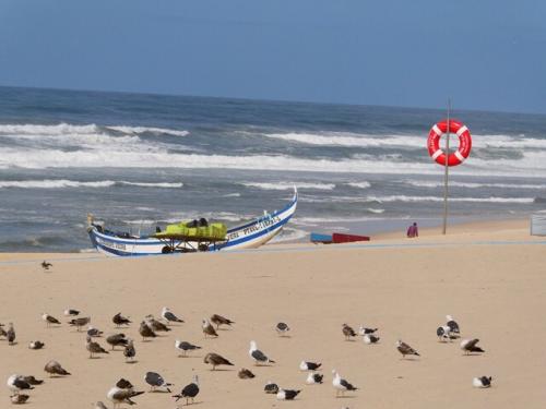 22a_Praia_de_Mira (18).JPG