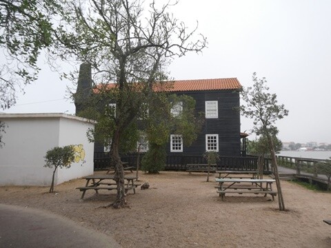 06a_Manh&atilde;_Praia_de_Mira (23).JPG