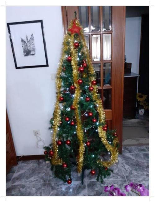 01b_&Aacute;rvore_de_Natal (19).jpg