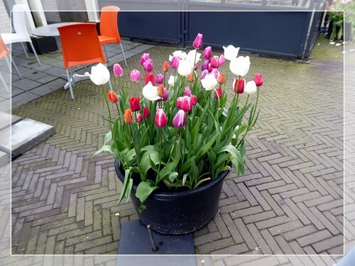 26a_Zeewolde (e).JPG
