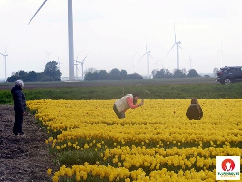 27b_Rota_das_Tulipas (26).JPG