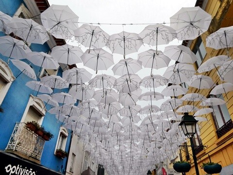 24c_&Aacute;gueda (49).JPG