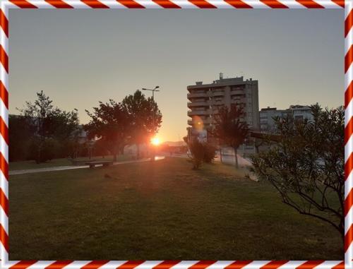 23a_Caminhada_matinal (2).jpg