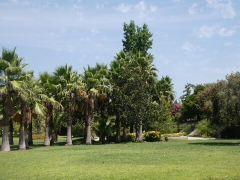 13a_Quinta_do_Mour&atilde;o (99).JPG