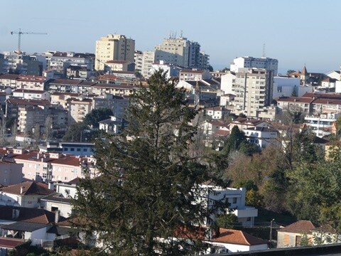 31a_&Uacute;ltima_caminhada_do_ano (39).JPG