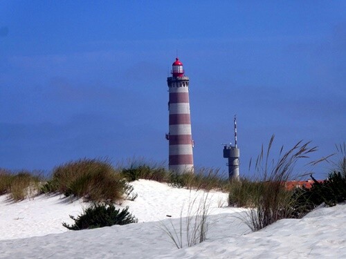 17c_Praia_da_Barra (14).JPG