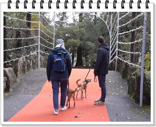 08b_Parque_de_La-Salette (8).jpg