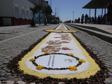 21d_Espinho_Festas_Senhora_da_Ajuda (22).JPG