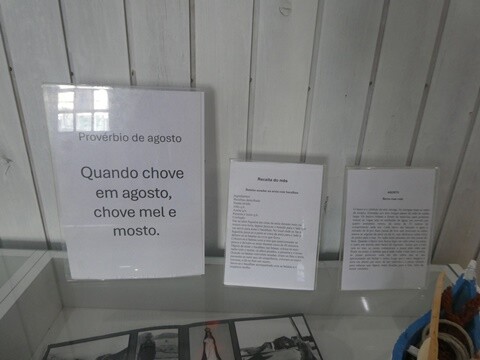 19a_Manh&atilde;_Pela_Praia_de_Mira (120).JPG