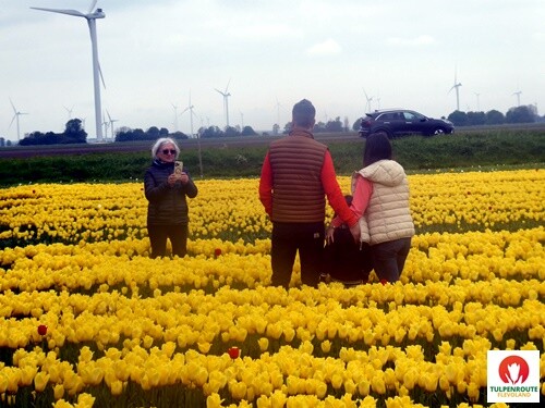 27b_Rota_das_Tulipas (52).JPG