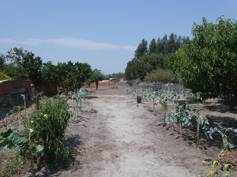 05b_Casa_Cor_de_Rosa (1).JPG