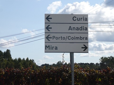 13b_Vilarinho_do_Bairro (11).JPG