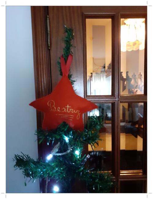 01b_&Aacute;rvore_de_Natal (10).jpg