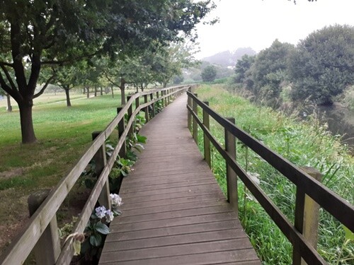 27a_Parque_Rio_Antuã_Estarreja (1).jpg