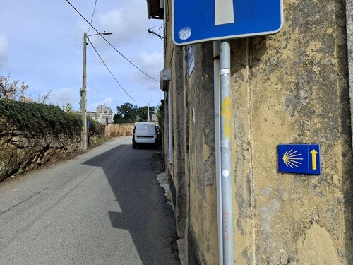 02b_Oliveira_de_Azem&eacute;is (18).jpg