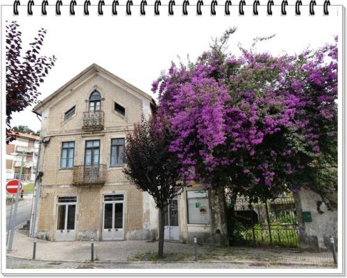 18a_Sever_do_Vouga (7).JPG