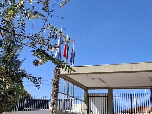 28c_Jornadas_Empreendedorismo_AE_Faj&otilde;es (3).jpg
