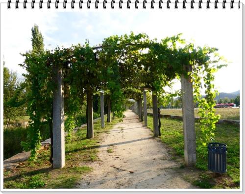 14a_Terras_de_Cambra (169).JPG
