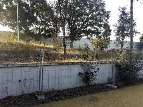23a_Parque_Inclusivo (1).jpg