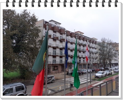 07a_Hastear_Bandeira_Eco-Escolas (19).jpg