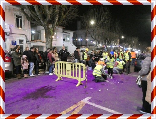 01 - 26b_Estarreja_Carnaval_Trapalh&atilde;o (10).JPG