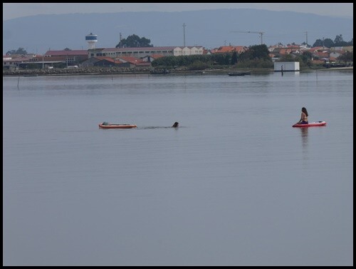 17a_Costa_Nova_Praia_de_Mira_e_Mira (21).JPG