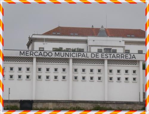 04c_Estarreja_MA (2).JPG