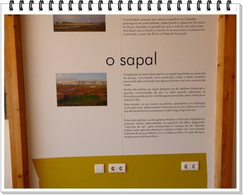 07a_Viagem_aos_Arcos_D3 (149).JPG